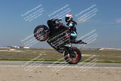 media/Mar-24-2025-2WTD (Mon) [[55b4b08488]]/B Group/1220pm (Wheelie Bump)/